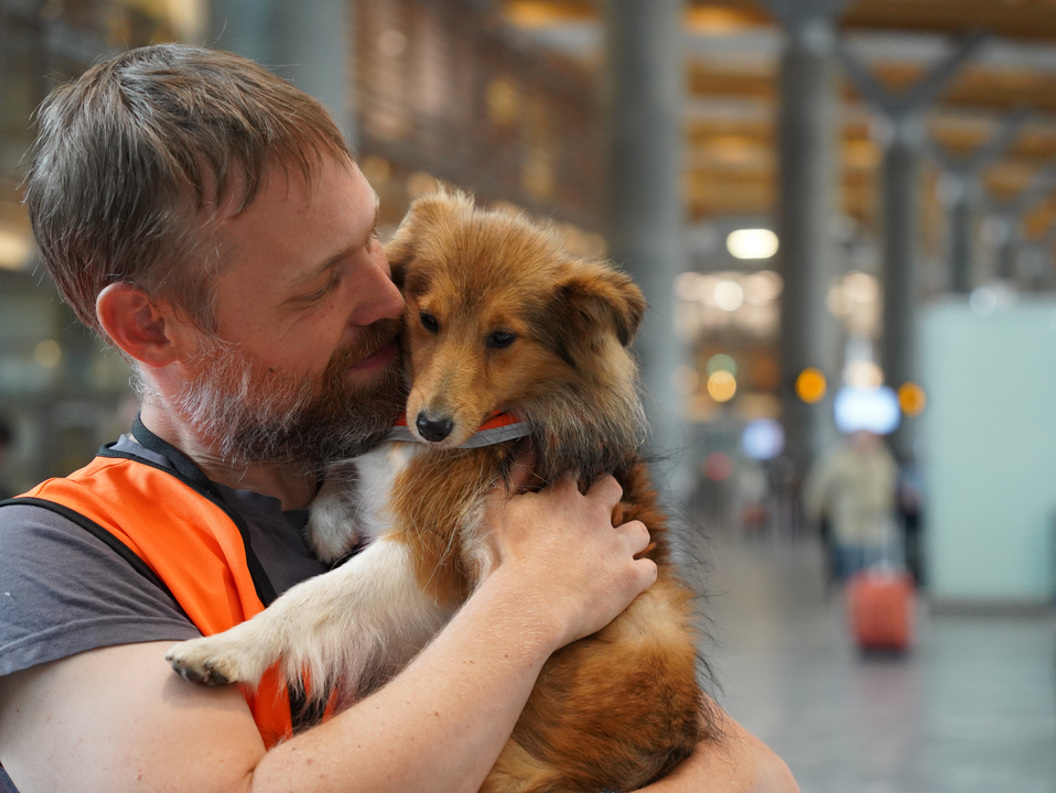 A man with short hair wearing a t-shirt and orange reflective vest inside the terminal, cuddling a small light brown dog he is holding in his arms.